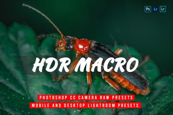 Download 15 HDR Macro Lightroom Presets - Macro Collection